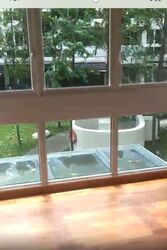 The Nautical (D27), Condominium #395700411